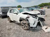 2024 Toyota RAV4 фото