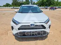 2024 Toyota RAV4 фото