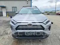 2024 Toyota RAV4 фото