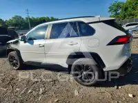 2024 Toyota RAV4 фото