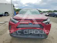 2024 Toyota RAV4 фото
