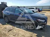 2024 Toyota RAV4 фото