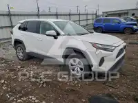 2024 Toyota RAV4 фото