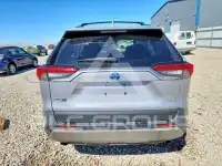 2024 Toyota RAV4 фото