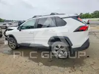 2024 Toyota RAV4 photo