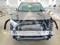 2024 Toyota RAV4 фото