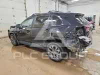2024 Toyota RAV4 photo