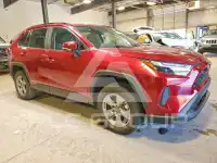 2024 Toyota RAV4 photo
