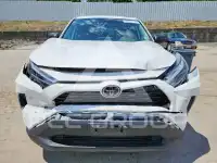 2024 Toyota RAV4 photo
