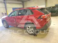 2024 Toyota RAV4 photo