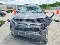 2024 Toyota RAV4 photo