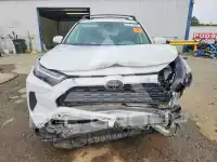 2024 Toyota RAV4 photo