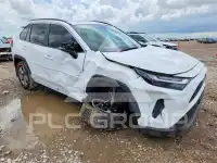 2024 Toyota RAV4 photo