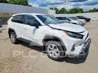 2024 Toyota RAV4 photo