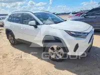 2024 Toyota RAV4 фото