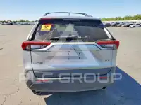 2024 Toyota RAV4 photo