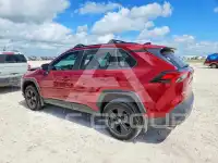 2024 Toyota RAV4 photo