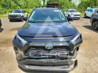 2024 Toyota RAV4 фото