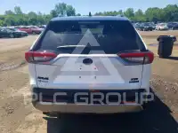 2024 Toyota RAV4 photo