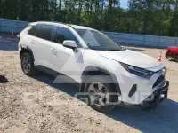 2024 Toyota RAV4 photo