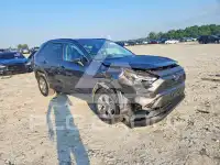 2024 Toyota RAV4 photo