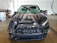 2024 Toyota RAV4 фото