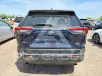 2024 Toyota RAV4 photo