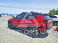 2024 Toyota RAV4 фото