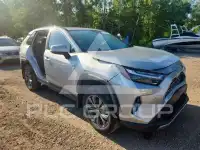 2024 Toyota RAV4 photo