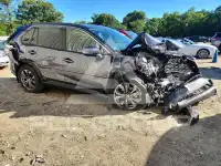 2024 Toyota RAV4 фото