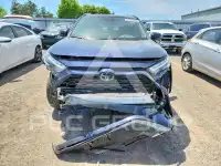 2024 Toyota RAV4 photo