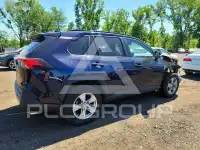 2024 Toyota RAV4 photo