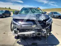 2024 Toyota RAV4 фото