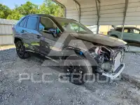 2024 Toyota RAV4 фото