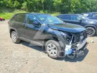 2024 Toyota RAV4 фото