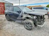 2024 Toyota RAV4 фото