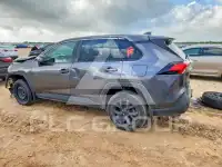 2024 Toyota RAV4 фото