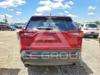 2024 Toyota RAV4 фото