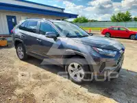 2024 Toyota RAV4 фото