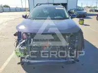 2024 Toyota RAV4 фото