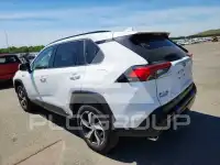 2024 Toyota RAV4 photo