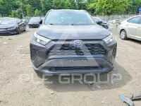 2024 Toyota RAV4 фото