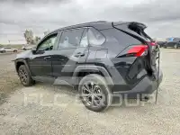 2024 Toyota RAV4 фото