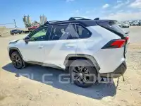 2024 Toyota RAV4 фото