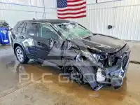 2024 Toyota RAV4 фото