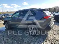 2024 Toyota RAV4 photo