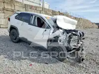2024 Toyota RAV4 photo