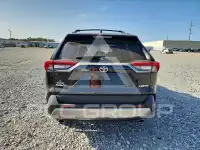 2024 Toyota RAV4 photo