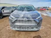 2024 Toyota RAV4 фото