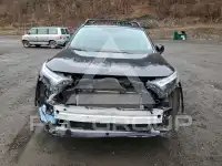 2024 Toyota RAV4 фото